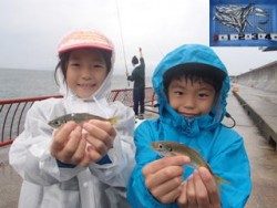 平磯海釣り公園　サビキでイワシ＆アジ