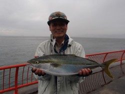 神戸市立平磯海づり公園　ウキ釣りでメジロ
