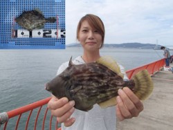 平磯海釣り公園　投げ釣りでカワハギ25.5…