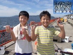 神戸市立平磯海づり公園　イワシ数釣り
