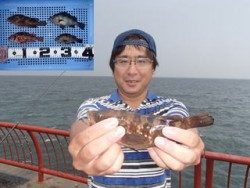 神戸市立平磯海づり公園 投稿