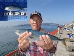 神戸市立平磯海づり公園 投稿