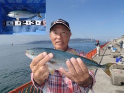 神戸市立平磯海づり公園 投稿