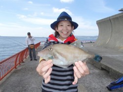平磯海釣り公園　サビキにウマヅラハギ31c…