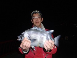 神戸市立平磯海づり公園 イシダイ記録賞★