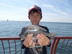 平磯海釣り公園　ウキ釣りでチヌ・ガシラ・メバル