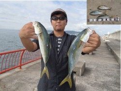 平磯海釣り公園 ウキ釣りでツバス ハマチ シオ 兵庫県 瀬戸内海側 神戸市立平磯海づり公園 ウキ釣り ハマチ イナダ 陸っぱり 釣り 魚釣り 釣果情報サイト カンパリ