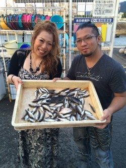 和歌山マリーナシティ海洋釣り堀　サビキでイサキ