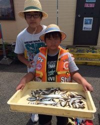 和歌山マリーナシティ海洋釣り堀　サビキでイサキ70匹