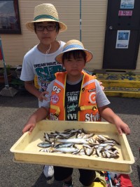 和歌山マリーナシティ海洋釣り堀　サビキでイ…