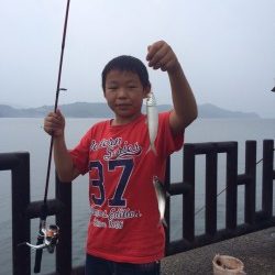 マリーナシティ　海釣り公園　サビキでイワシ・イサキ