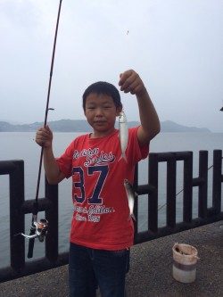 マリーナシティ　海釣り公園　サビキでイワシ・イサキ