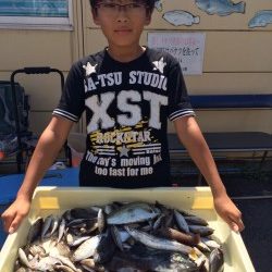 マリーナシティー海釣り公園　サビキでコノシロ・カマス・イサキ・グレ