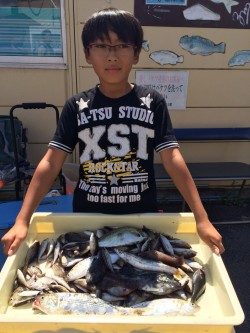 マリーナシティー海釣り公園　サビキでコノシロ・カマス・イサキ・グレ