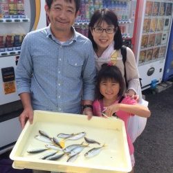 マリーナシティ海釣り公園　サビキでアジの釣果