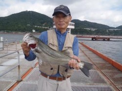 神戸市立須磨海づり公園　ハネ 	63cm