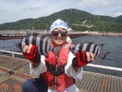 神戸市立須磨海づり公園　サンバソウ