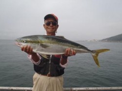 立派なブリ！神戸市立須磨海づり公園
