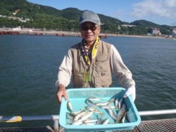 神戸市立須磨海づり公園　サビキでアジ