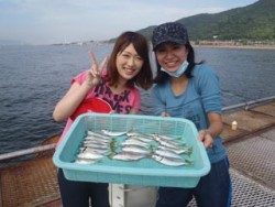 神戸市立須磨海づり公園　サビキでアジ
