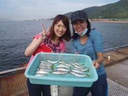 神戸市立須磨海づり公園　サビキでアジ