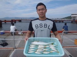 須磨海釣り公園　サビキでアジ＆ツバス