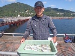 神戸市立須磨海づり公園　サビキでアジ