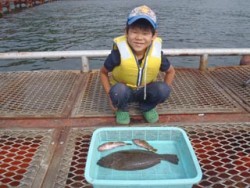 須磨海釣り公園　落とし込みでヒラメ40cm…
