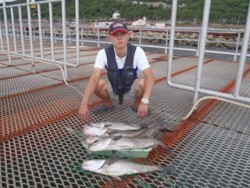 神戸市立須磨海づり公園 イサギのノマセで良…
