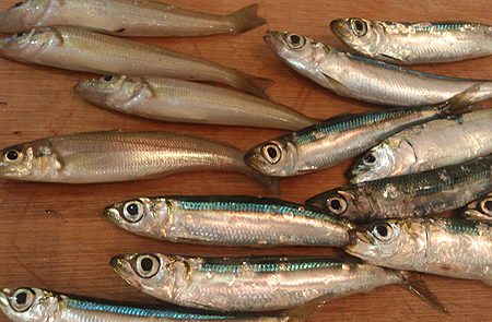 ランガン　サビキ