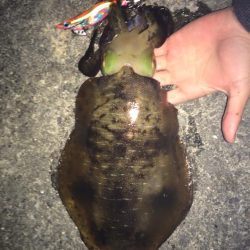 満月を信じて夜まで粘ると…