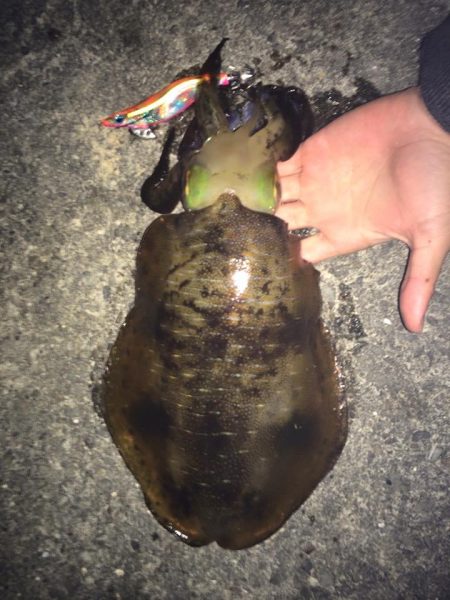 満月を信じて夜まで粘ると...