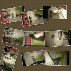 夕マズメからは