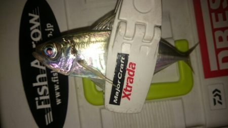 どうしても気になり