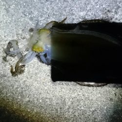 大人の夜遊び！！