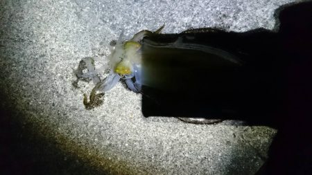 大人の夜遊び！！