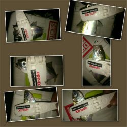 短時間アジング