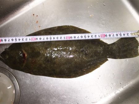 タチウオ釣りでゲストが。