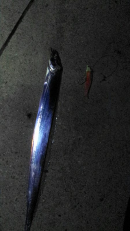 太刀魚ワインド