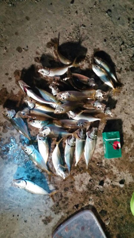 ファミリーフィッシング！！