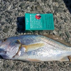 いまいちでした。