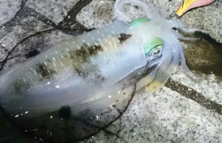 大人の夜遊び！！