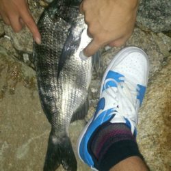 久しぶりの投げ釣り