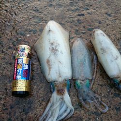 連続釣行２日目