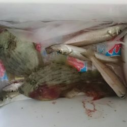 ジギング改めまして投げ釣り