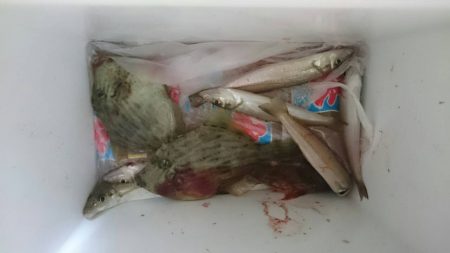 ジギング改めまして投げ釣り