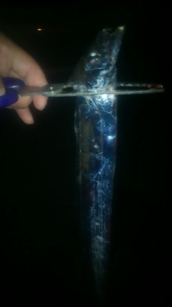 渋い；；　何とか1匹