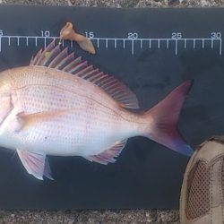 初めてタイと呼べるサイズかも…