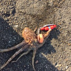 ちいさぃ~(-\”-)