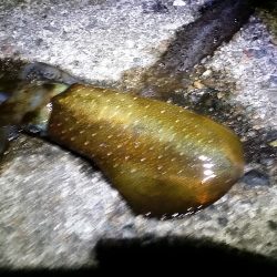 強風の中の　我慢。